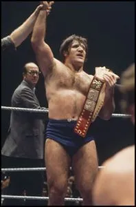 Bruno Sammartino - historyofwrestling.com