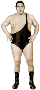 Andre the Giant - historyofwrestling.com
