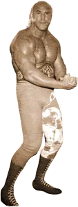 Superstar Billy Graham - historyofwrestling.com