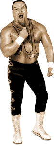 Jim Neidhart - historyofwrestling.com