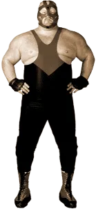 Vader - historyofwrestling.com