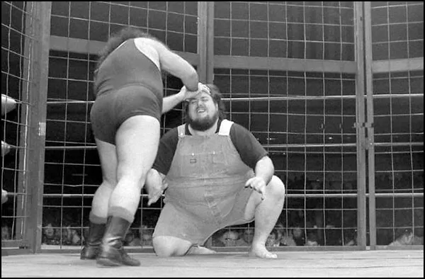 Haystacks calhoun hot sale