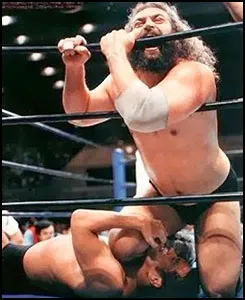 bruiser brody